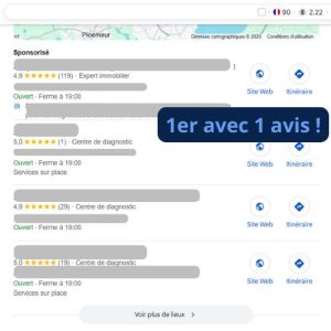 ranking fiche google my business